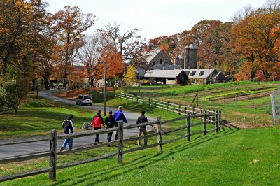 Stone Barns Farm - Pleasantville, NY