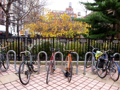 Bicycle Parking - NYU Athletic Center