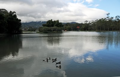 Parque Sabana