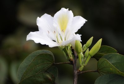 Parque Sabana