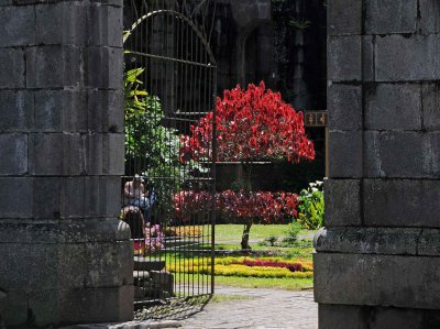 Church Ruins from 1910 Earthquake