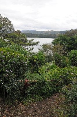 Coffee Plantation, Restraurant & Gardens
