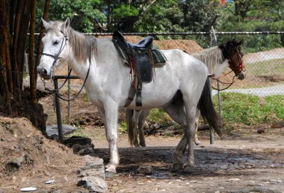 Parque de La Paz