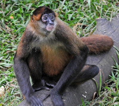 Parque Zoological Simon Bolivar