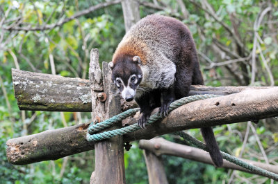 Parque Zoological Simon Bolivar