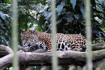 Parque Zoological Simon Bolivar