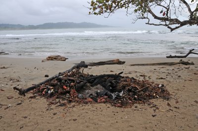 DSC_0423.JPG