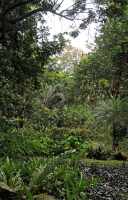 Finca la Isla Botanical Garden