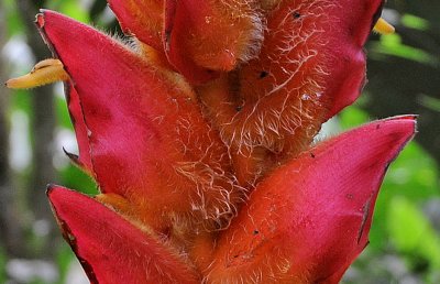 g1/26/411626/3/131976023.upVIIl3h.jpg