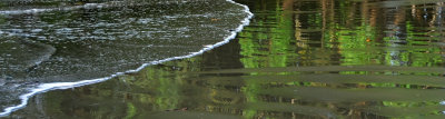 g1/26/411626/3/132110872.dmXydrgs.jpg