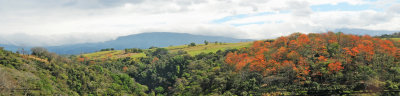 Sarchi Area - Costa Rica