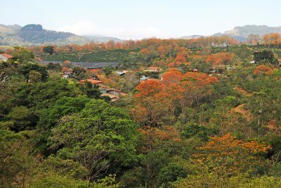 Sarchi Area - Costa Rica