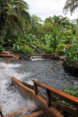 Tabacon Hot Springs - Arenal Vocano