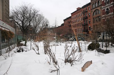 LaGuardia Place Corner Garden