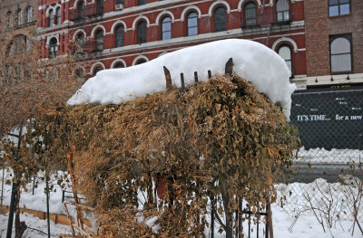 LaGuardia Place Corner Garden
