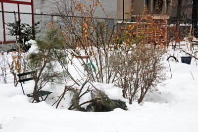 LaGuardia Place Corner Garden
