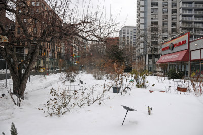 LaGuardia Place Corner Garden