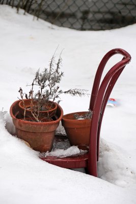 LaGuardia Place Corner Garden