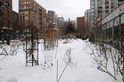 LaGuardia Place Corner Garden