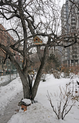 LaGuardia Place Corner Garden