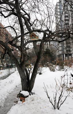 LaGuardia Place Corner Garden
