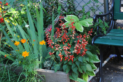 Garden Plot View