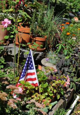 Garden Plot View