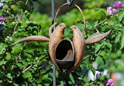 Coconut Shell Bird Feeder