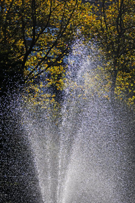 Fountain