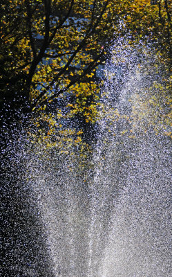 Fountain