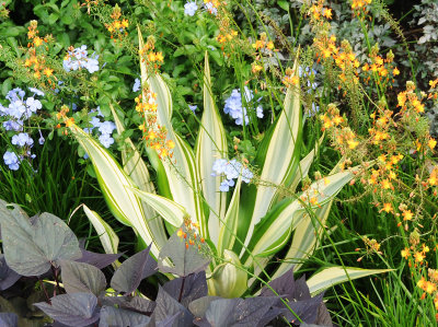 French Conservatory Garden