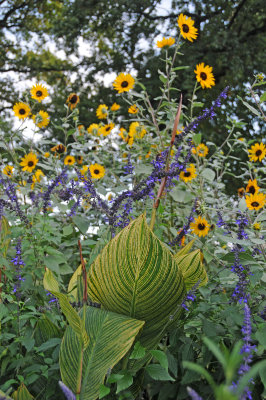 French Conservatory Garden