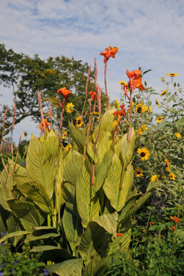 French Conservatory Garden