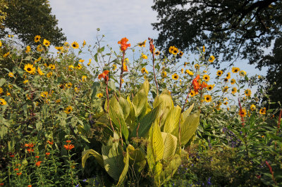 French Conservatory Garden