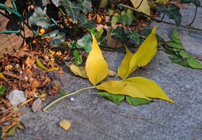 October 14, 2012 Photo Shoot - Greenwich Village