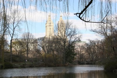 Lake, Willow Tree & Beresford Apartment Towers