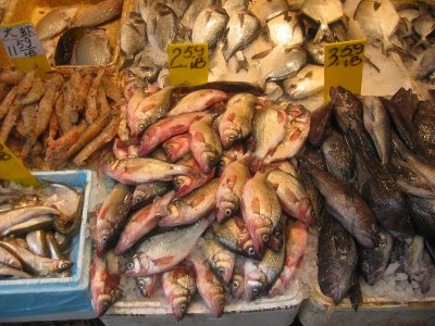 Fish for Sale