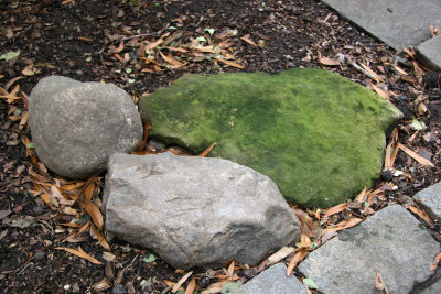 St Luke's Church Garden