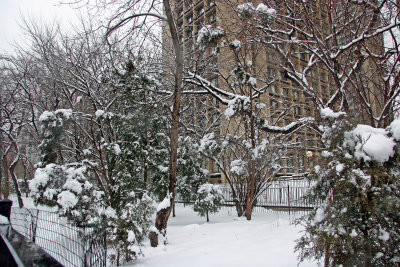 Garden View - 505 LaGuardia Place Coop
