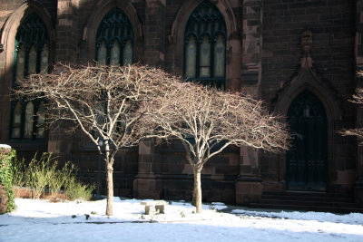 Presbyterian Churchyard