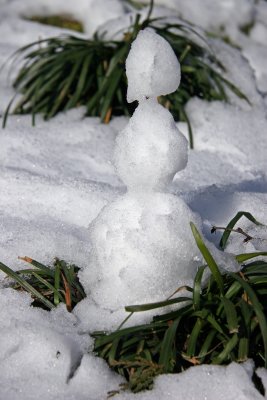 Nature's Snowman & Liriope