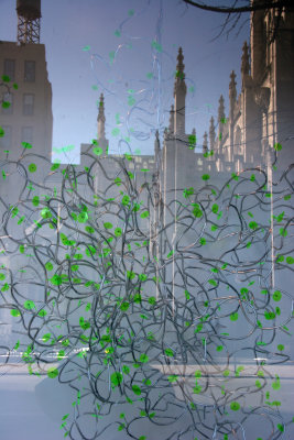 'Growing Green Things' - NYU Gallery Windows