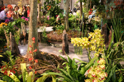 Flower Show  - Bayou