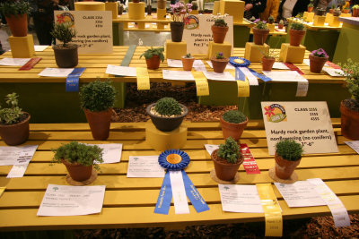 Flower Show - Prize Winners