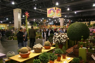 Flower Show - Prize Winners