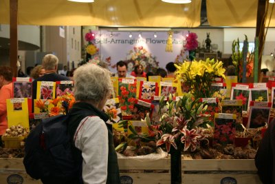 Flower Show - Lily Seeds