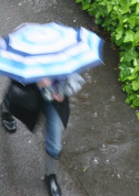 A Dash in the Rain