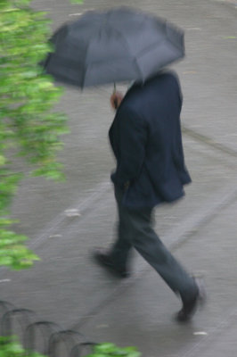 Umbrella Day