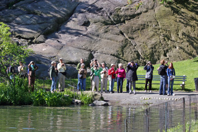 Bird Watchers - Harlem Meer