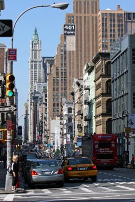 Architectural Details Culminating with the Woolworth Building